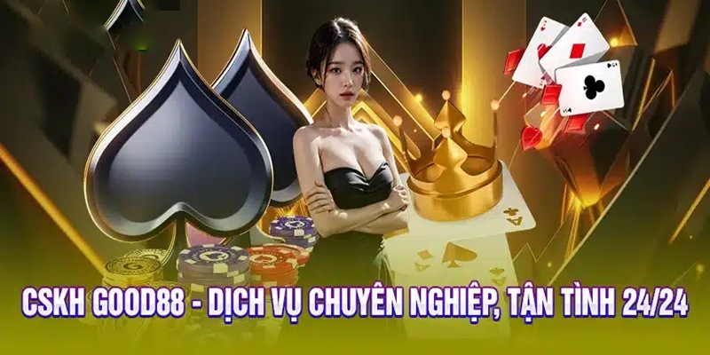 Dịch vụ khách hàng chuyên nghiệp và hoạt động xuyên suốt 24/7