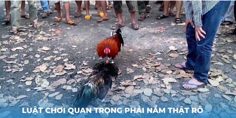 Luật chơi quan trọng phải nắm thật rõ