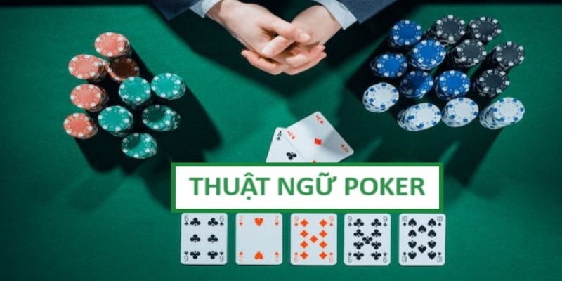 Thuật ngữ quan trọng trong Tố 