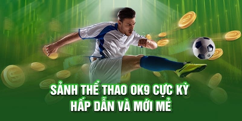 Sảnh thể thao ok9 được xây dựng rất công phu và bài bản