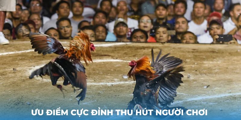 Ưu điểm cực đỉnh thu hút người chơi